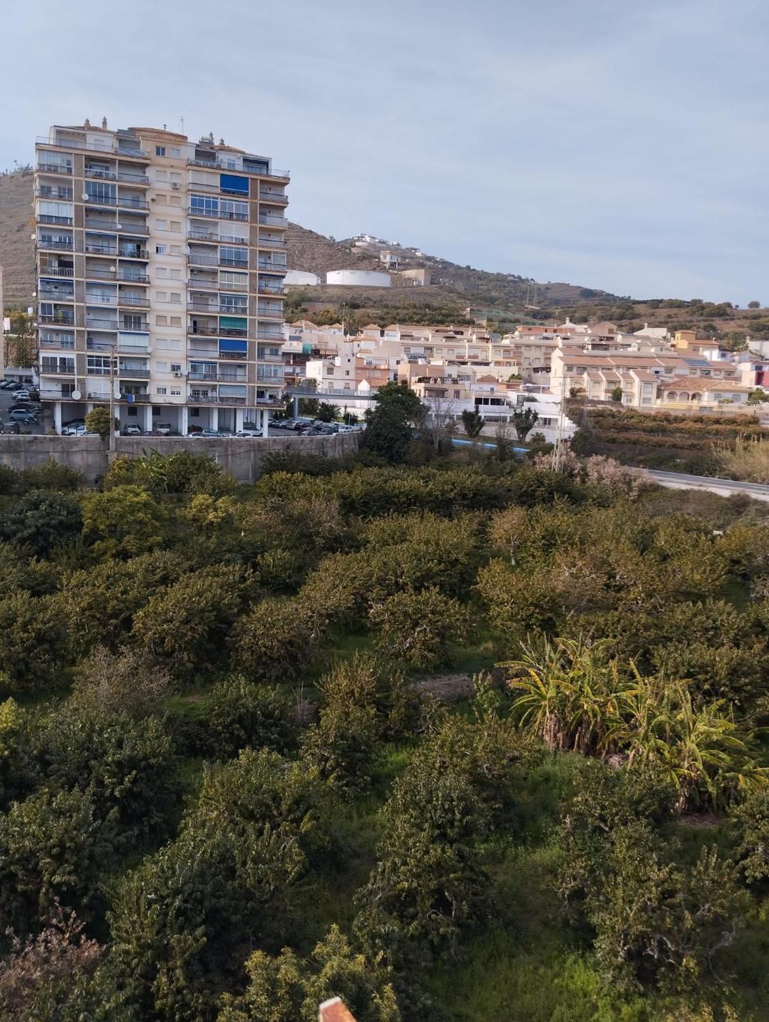 Room In Shared Apartment With Parking Almuñécar エクステリア 写真