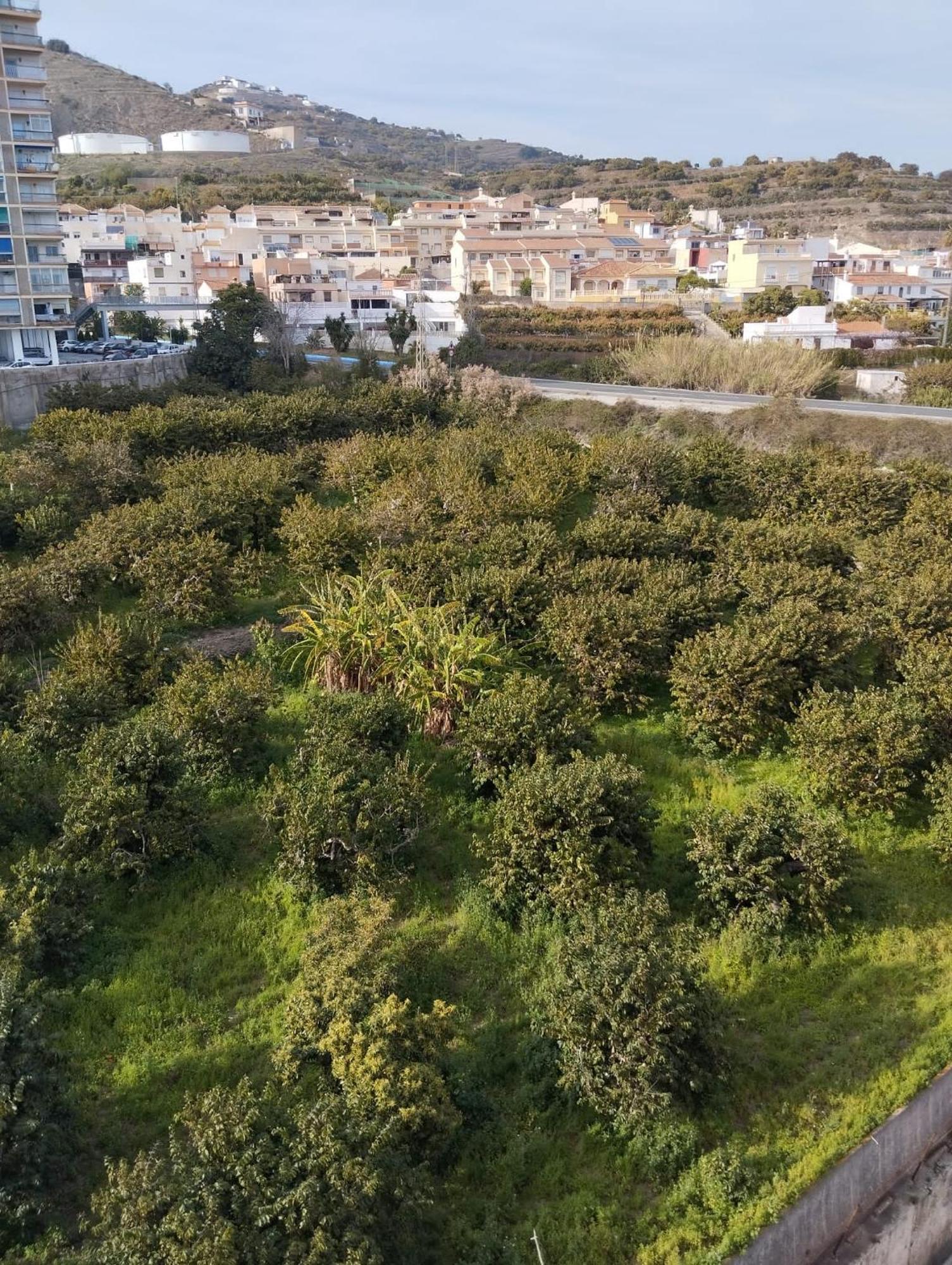 Room In Shared Apartment With Parking Almuñécar エクステリア 写真